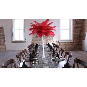 10 pieces Red Feathers for Wedding Party Centerpiece Decor size 12-14 inches